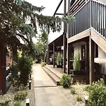 Bonanza